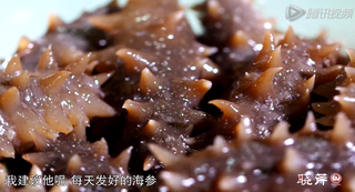 海參進(jìn)補從娃娃抓起，兒童吃海參的好處！