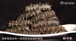 孝敬父母，為何首選海參？