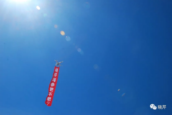 曉芹,海參,曉芹文化,曉芹海參,故事會(huì )