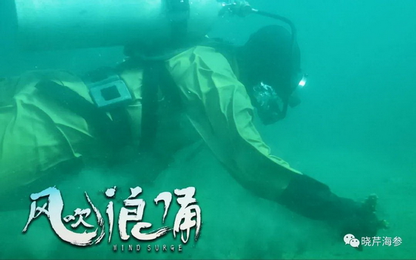 電影,風(fēng)吹浪涌,創(chuàng  )業(yè),大連海參,曉芹海參,海參.jpg