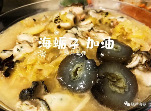 海參肽,大連海參,曉芹海參,海參,抗擊疫情,疫情,獻愛(ài)心.jpg